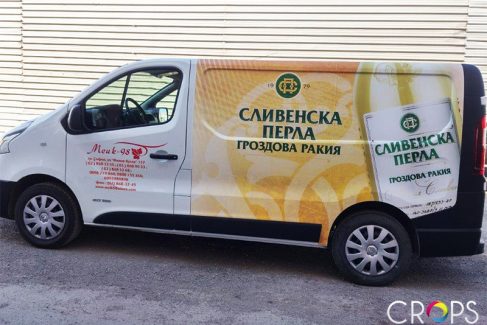 "Mike 98" - a new vision bus