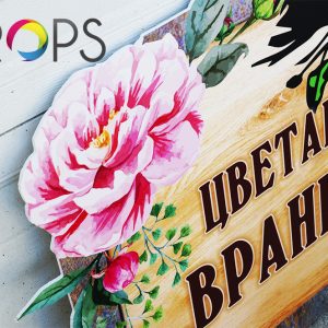 The signs of "Vrani misunderstood"