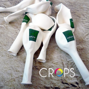 Custom Printed Ballons, , advertising agency